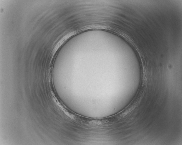 X0000051920898200507152054