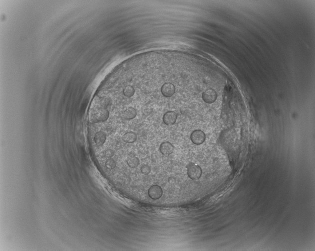 X0000051920899200507152054