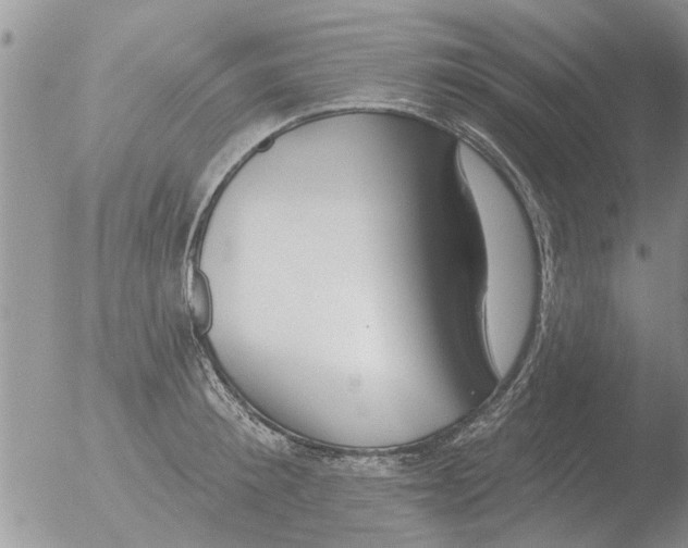 X0000051920900200507152054