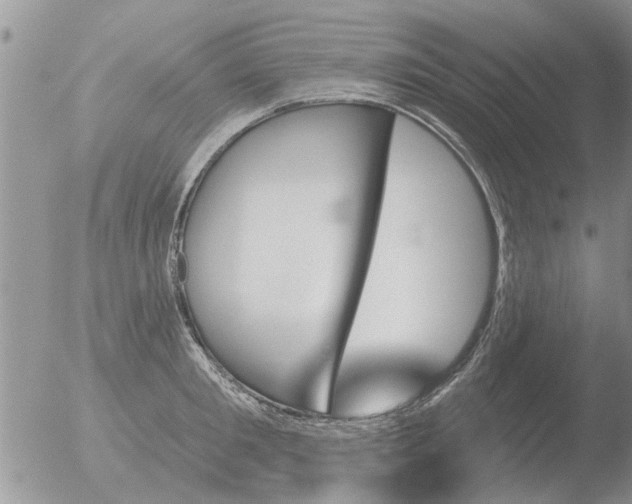 X0000051920901200507152054