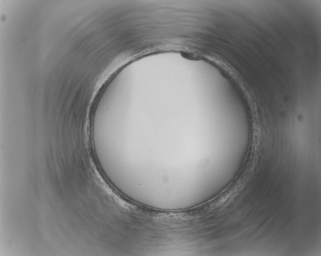 X0000051920902200507152054