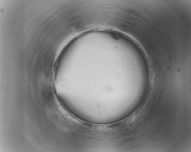 X0000051920903200507152054