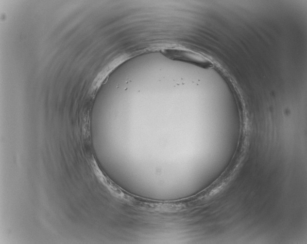 X0000051920905200507152054