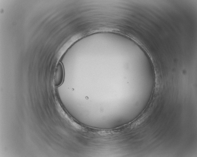 X0000051920906200507152053