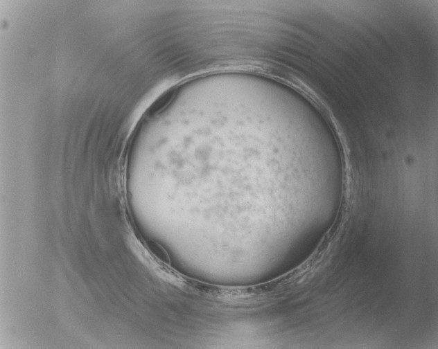 X0000051920907200507152053