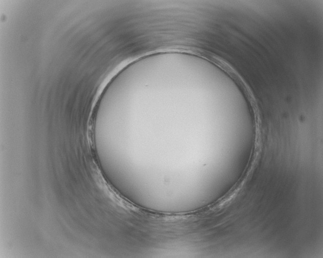 X0000051920908200507152053