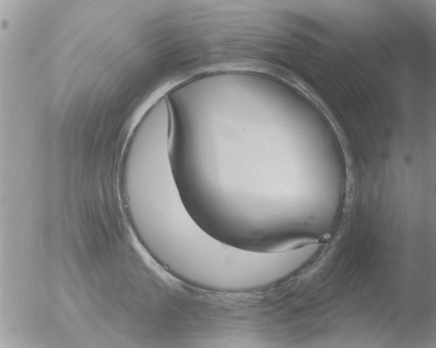 X0000051920909200507152053