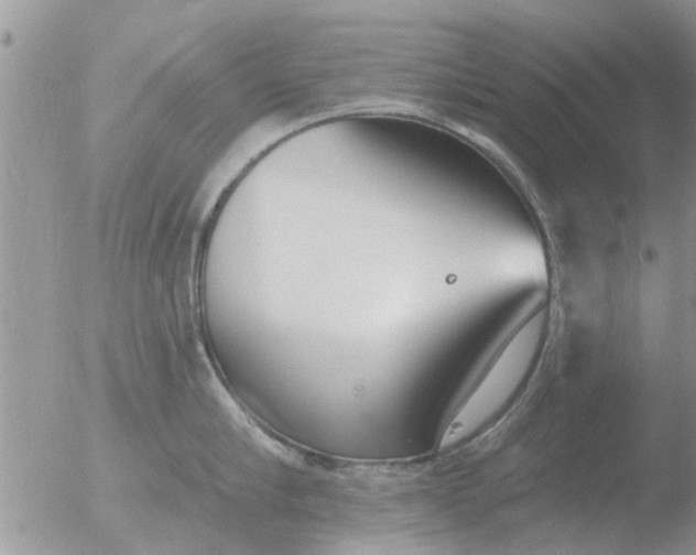 X0000051920910200507152053