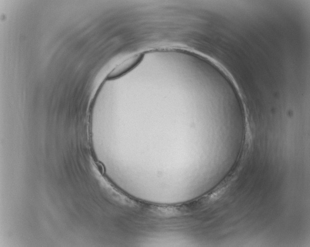 X0000051920911200507152053