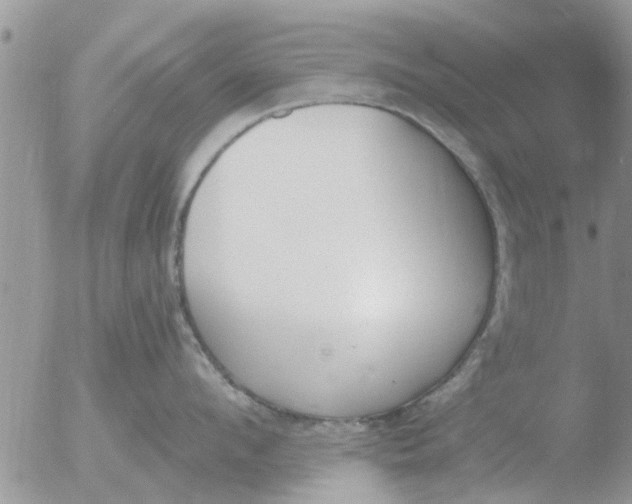 X0000051920912200507152053