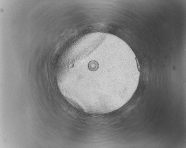 X0000051920913200507152053