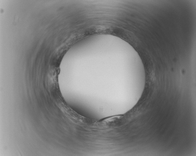 X0000051920914200507152053