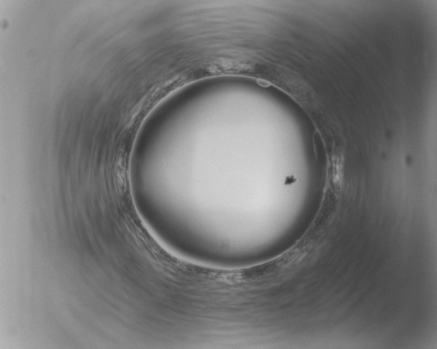 X0000051920915200507152053