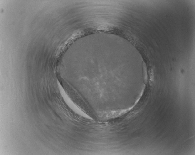 X0000051920916200507152053