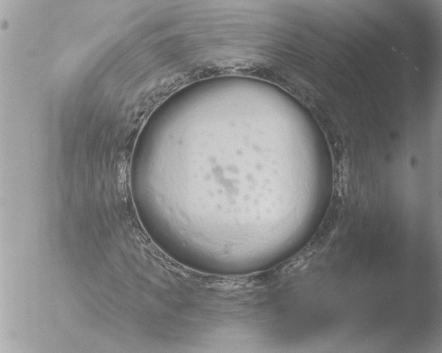 X0000051920917200507152053