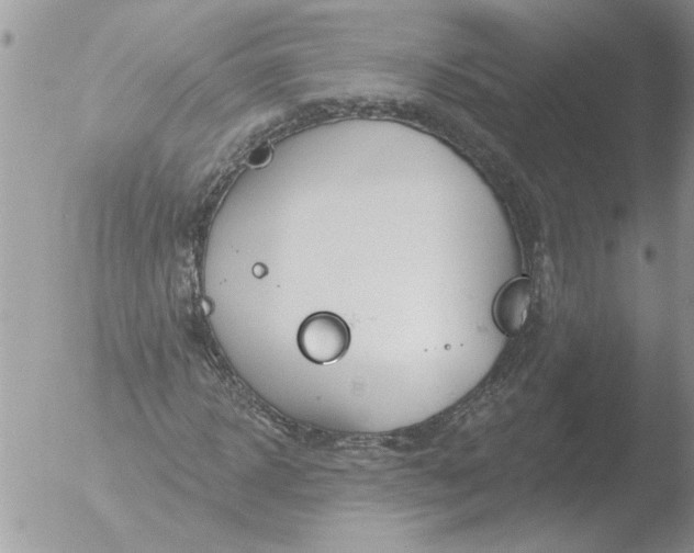 X0000051920918200507152053