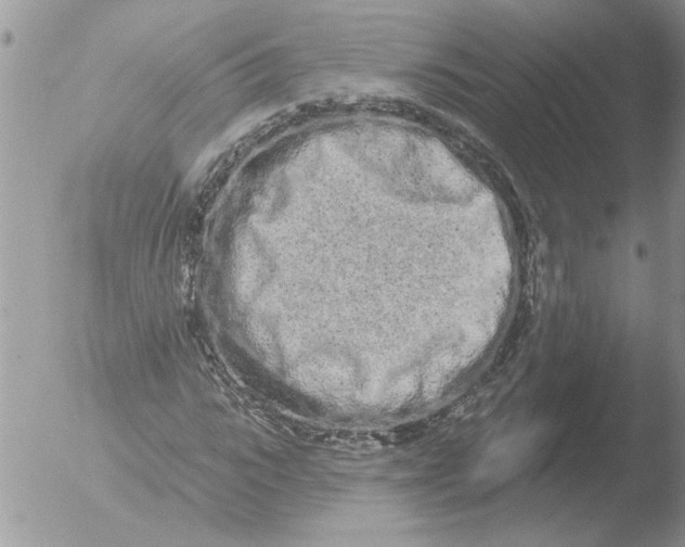 X0000051920919200507152053