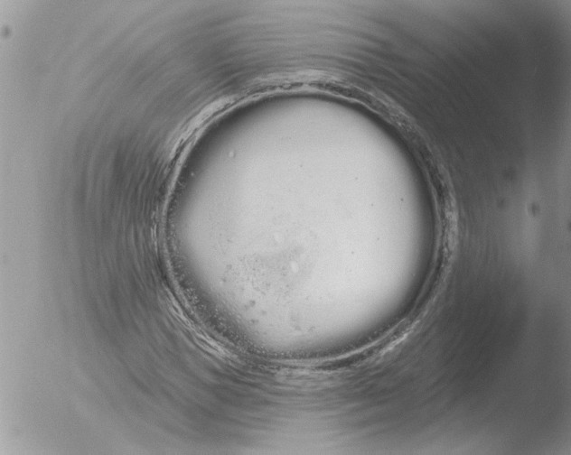 X0000051920921200507152053