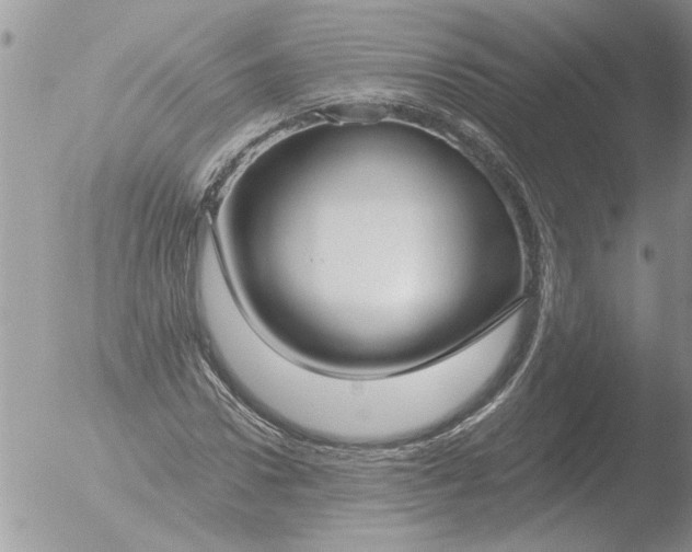 X0000051920922200507152053