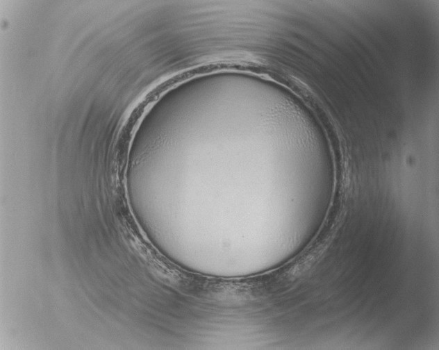 X0000051920923200507152053