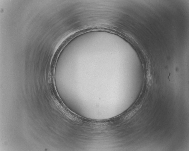 X0000051920924200507152053