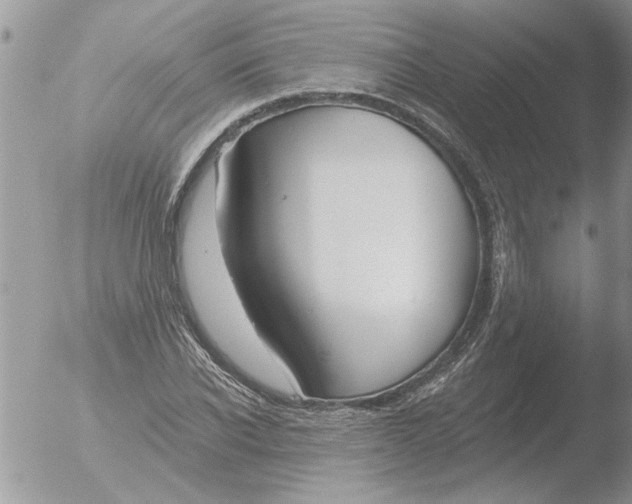 X0000051920926200507152053