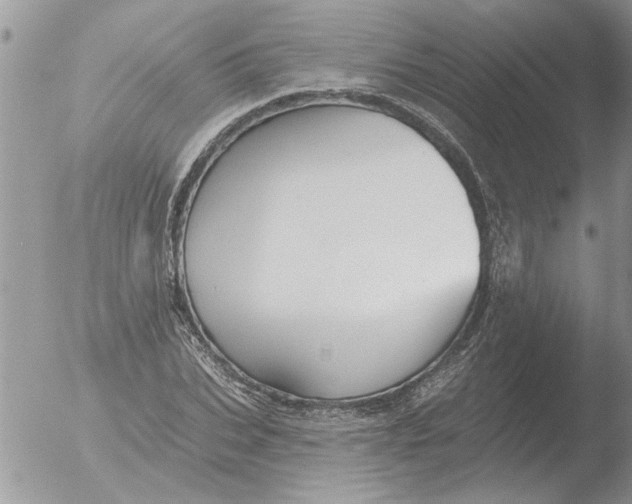 X0000051920927200507152053