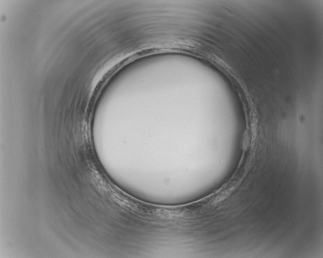 X0000051920928200507152053