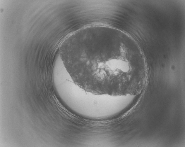 X0000051920929200507152053