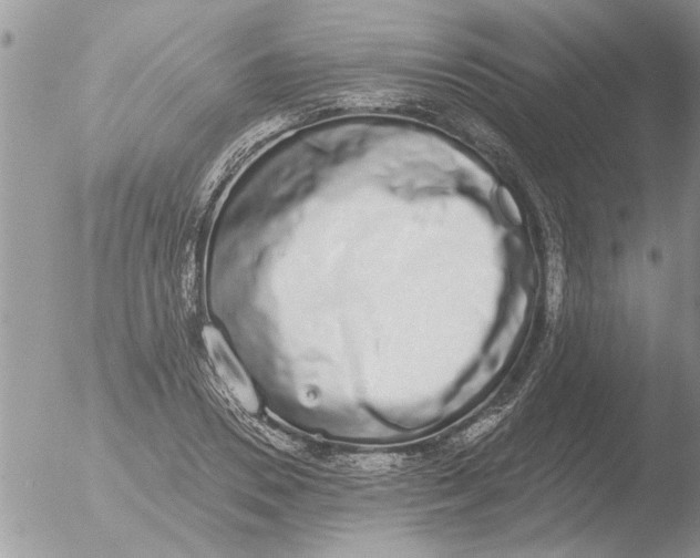 X0000051920930200507152053