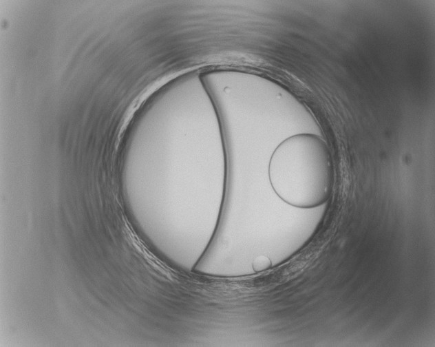 X0000051920931200507152053