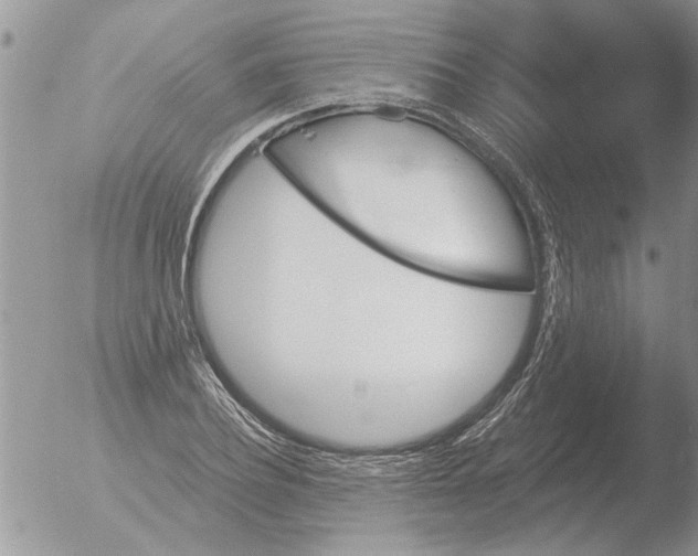 X0000051920932200507152053