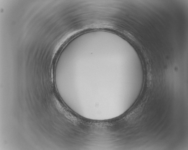 X0000051920934200507152053