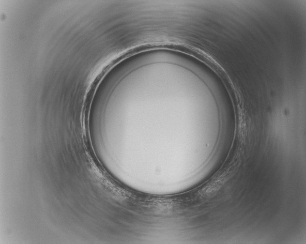 X0000051920935200507152053