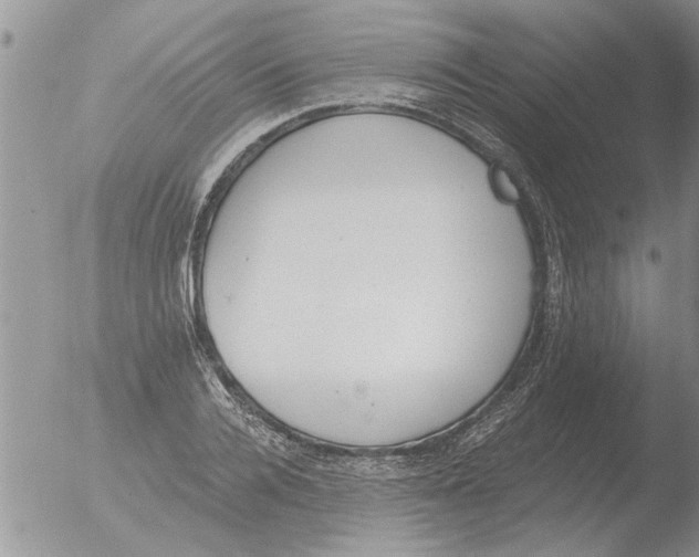 X0000051920936200507152053