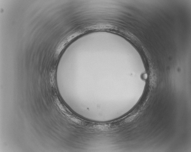 X0000051920937200507152053