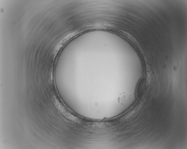 X0000051920938200507152053