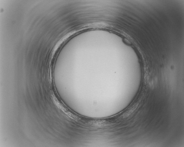 X0000051920939200507152053