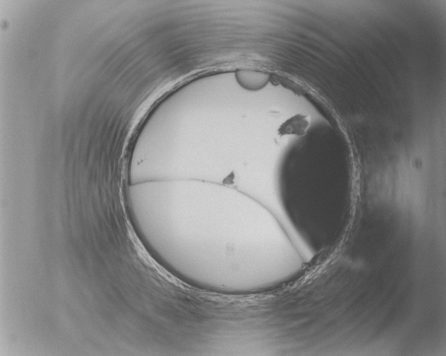 X0000051920941200507152053