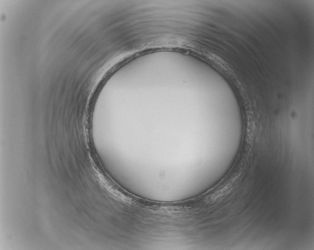 X0000051920942200507152053