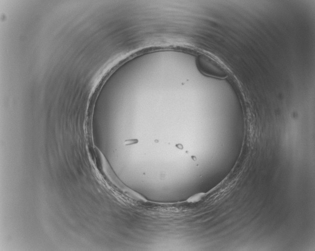 X0000051920943200507152053