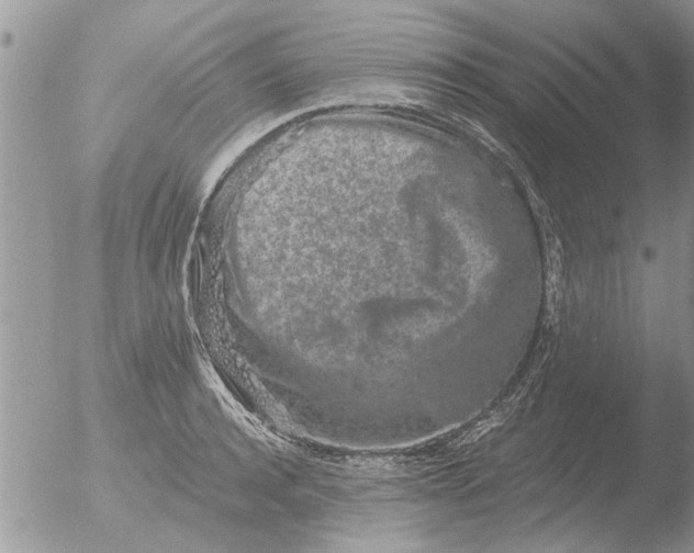 X0000051920944200507152053