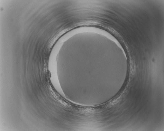 X0000051920945200507152053