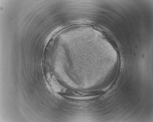 X0000051920946200507152053