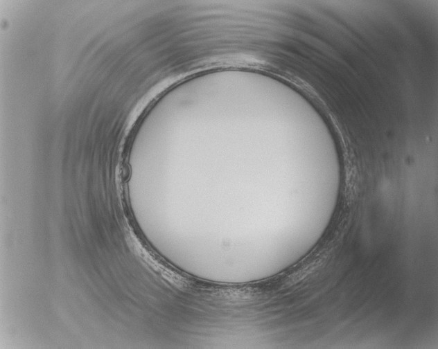 X0000051920947200507152053