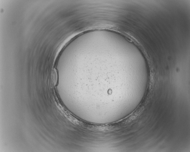 X0000051920948200507152053