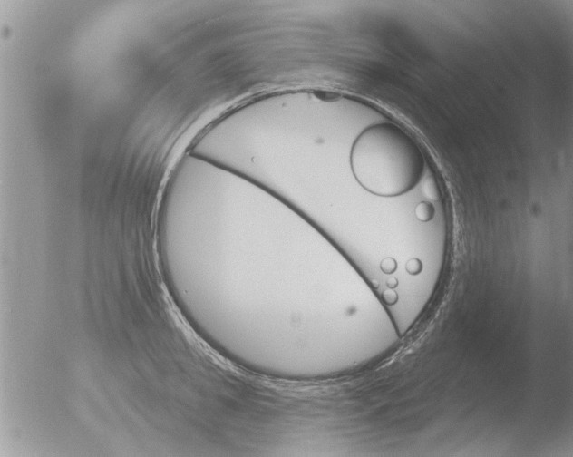 X0000051920949200507152053