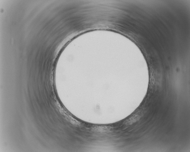 X0000051920950200507152053