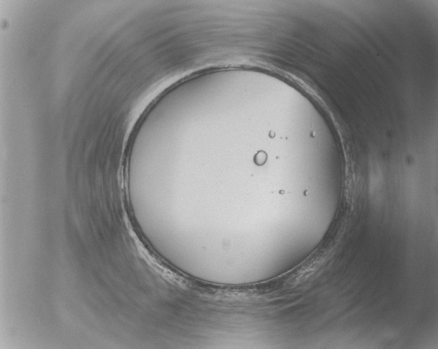 X0000051920951200507152053