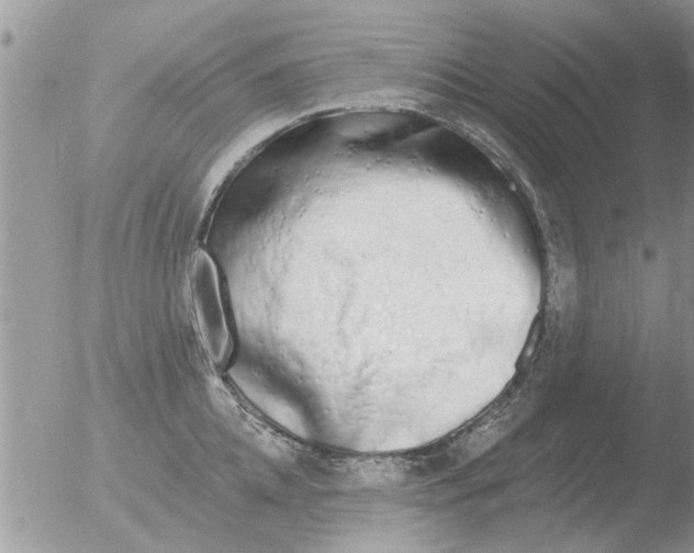 X0000051920952200507152053